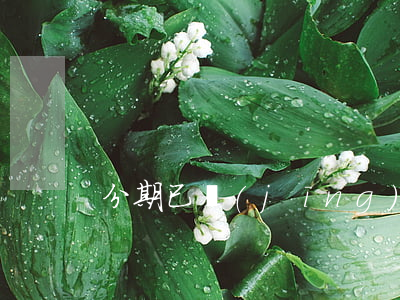 分期已經(jīng)逾期沒還起訴