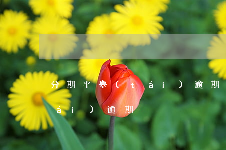 分期平臺(tái)逾期一案（分期平臺(tái)逾期）