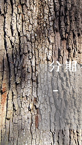 分期平臺逾期信件一般什么內(nèi)容-