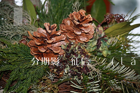 分期影響征信嗎 來(lái)分期影響征信嗎