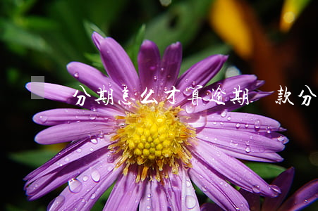 分期怎么才算逾期還款(分期算不算逾期)