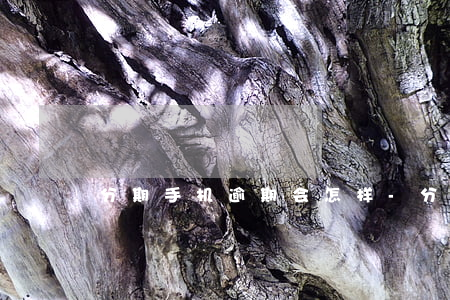 分期手机逾期会怎样-分期手机逾期会怎样