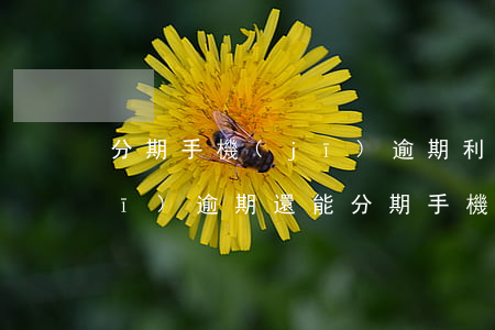分期手機(jī)逾期利息高(分期手機(jī)逾期還能分期手機(jī)嗎)