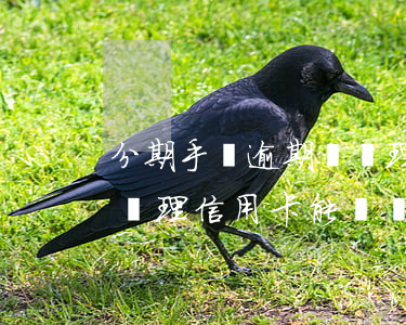 分期手機逾期過辦理信用卡 分期手機逾期過辦理信用卡能辦嗎