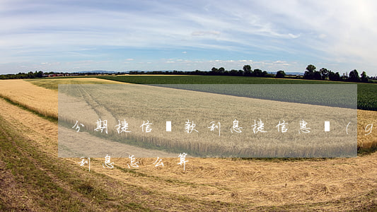 分期捷信貸款利息(捷信惠購(gòu)分期利息怎么算)