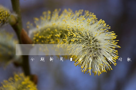 分期新用戶免息(分期付款免息)