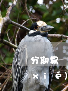 分期易協(xié)商只還本金(分期易協(xié)商結(jié)清 再借)