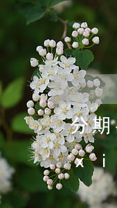 分期易協(xié)商還款方法(分期易協(xié)商分期還款)
