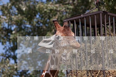 分期易提前還款到8期沒出額度-分期易提前還款到8期沒出額度怎么辦