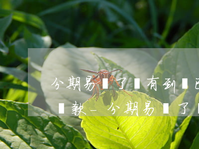 分期易賣了沒有到賬已經(jīng)顯示還款-分期易賣了沒有到賬已經(jīng)顯示還款了