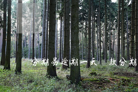 分期易逾期一天還款(分期易逾期兩天)