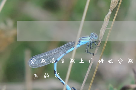 分期易逾期上门催收(分期易逾期上门催收是真的吗)