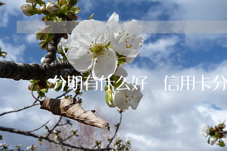 分期有什么好處(信用卡分期有什么好處)