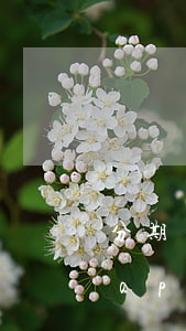 分期樂(lè)app下載(分期樂(lè)app下載官方)