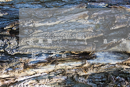 分期樂(lè)一直不開(kāi)最低還款怎么辦-