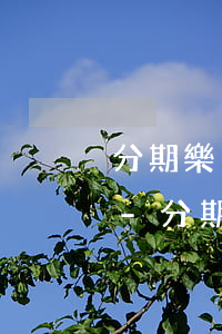 分期樂(lè)上還款之后去銀行貸款被拒-分期樂(lè)剛還了就秒拒