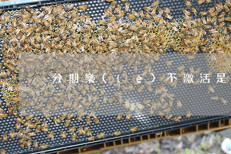 分期樂(lè)不激活是不是就不要還款-