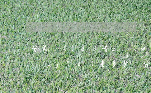 分期樂(lè)借三萬(wàn)提前還款優(yōu)惠多少-分期樂(lè)借3000提前還能減多少