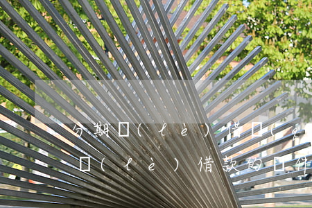 分期樂(lè)借錢(qián)條件(分期樂(lè)借款的條件)