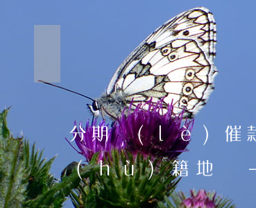 分期樂(lè)催款真的會(huì)上戶(hù)籍地嗎-分期樂(lè)催款真的會(huì)上戶(hù)籍地嗎逾期三年借款5000