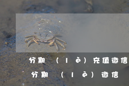 分期樂(lè)充值微信直接24期還款-分期樂(lè) 微信還款