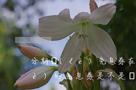分期樂(lè)免息券在哪里-分期樂(lè)的免息券是不是沒(méi)有利息