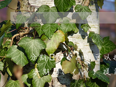 分期樂(lè)可以提前還款利息怎么算-分期樂(lè)提前還款利息怎么算 貼吧