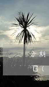 分期樂(lè)在哈啰逾期會(huì)不會(huì)影響接單-分期樂(lè) 哈啰
