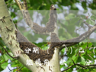 分期樂(lè)已經(jīng)分24期能提前還款嗎-分期樂(lè)分了24期可以提前還款嗎