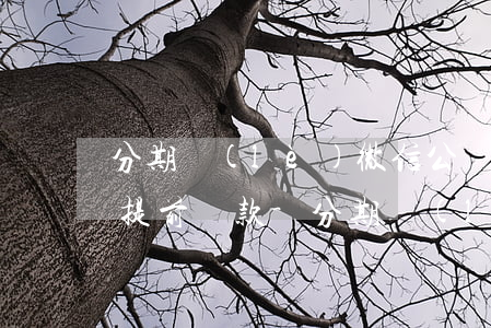 分期樂(lè)微信公眾號(hào)如何提前還款-分期樂(lè)公眾號(hào)還款流程