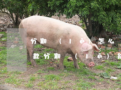 分期樂(lè)怎么協(xié)商逾期還款 分期樂(lè)能否協(xié)商還款