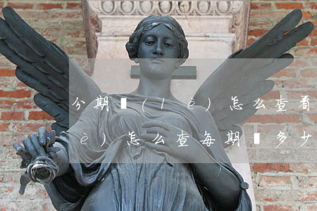 分期樂(lè)怎么查看欠多少(分期樂(lè)怎么查每期還多少)