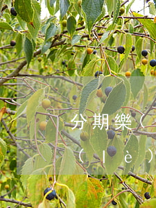 分期樂(lè)怎么查詢一共欠多少(分期樂(lè)貸款怎么查自己已還多少還欠多少)
