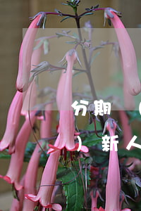 分期樂(lè)怎么樣免息嗎(分期樂(lè)新人怎么免息借款)