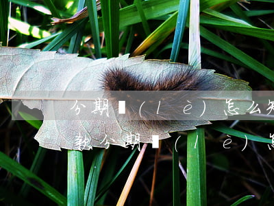 分期樂(lè)怎么知道欠沒(méi)欠款(分期樂(lè)怎么查未還款)