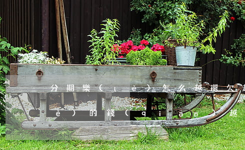 分期樂(lè)怎么越還欠越多(分期樂(lè)的錢(qián)越還越多)