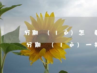分期樂(lè)怎樣看欠了多少錢(怎么樣看分期樂(lè)一共欠了多少錢)