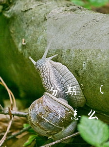 分期樂(lè)提前還款借不出來(lái)怎么辦-分期樂(lè)提前還進(jìn)去借不出來(lái)咋回事