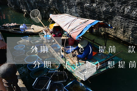 分期樂(lè)提前還款還不上了怎么辦-分期樂(lè)想提前還款還不了