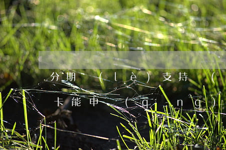分期樂(lè)支持農(nóng)信銀行卡能申請(qǐng)嗎（分期樂(lè)逾期能不能辦農(nóng)行信用卡）