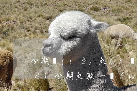 分期樂(lè)欠11萬(wàn)(樂(lè)分期欠款一萬(wàn)多)