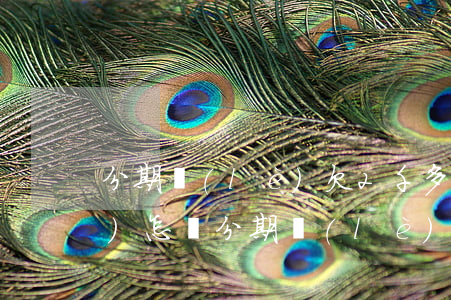 分期樂(lè)欠2千多一年了會(huì)怎樣(分期樂(lè)欠了3000塊兩年沒(méi)還會(huì)怎么樣)