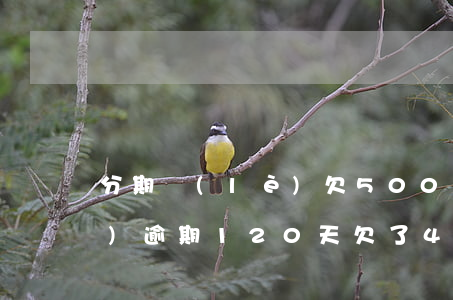 分期樂(lè)欠500多天(分期樂(lè)逾期120天,欠了4000多后果是什么)