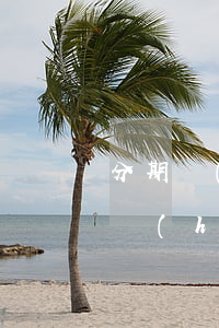 分期樂(lè)欠一千逾期四個(gè)月會(huì)怎樣(分期樂(lè)逾期兩個(gè)月,欠4000,你們有過(guò)逾期嗎?)