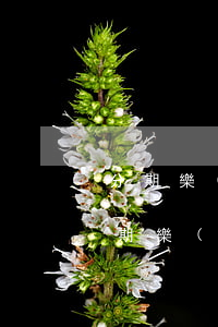 分期樂(lè)欠了2萬(wàn)咋辦(分期樂(lè)欠三萬(wàn),打不還了,會(huì)有什么后果)