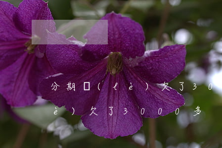 分期樂(lè)欠了3000多(分期樂(lè)欠了3000多)