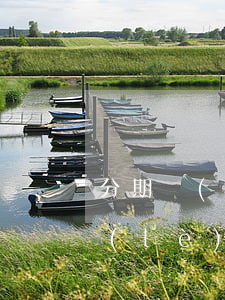 分期樂(lè)欠了七萬(wàn)(分期樂(lè)6萬(wàn)沒(méi)還)