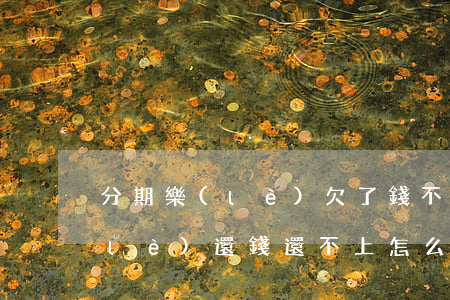 分期樂(lè)欠了錢不還怎么辦(分期樂(lè)還錢還不上怎么辦)