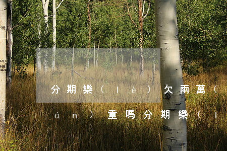 分期樂(lè)欠兩萬(wàn)算嚴(yán)重嗎(分期樂(lè)欠幾千塊錢一年沒(méi)還了會(huì)怎么樣)