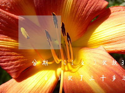分期樂(lè)欠款3000逾期(分期樂(lè)欠了三千多逾期一年說(shuō)要起訴我)